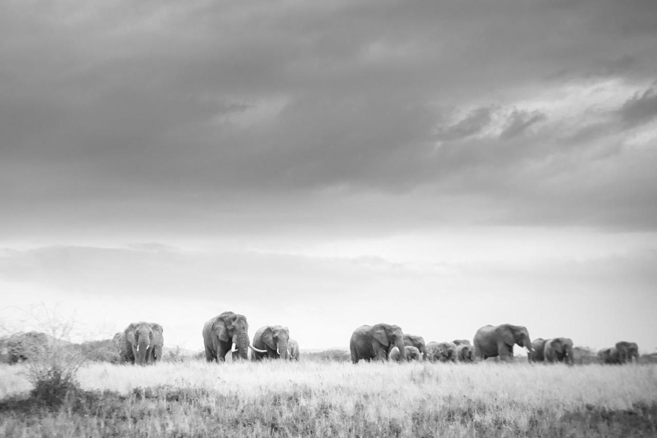 Rhino Sands Safari Camp Manyoni Private Game Reserve Exterior photo